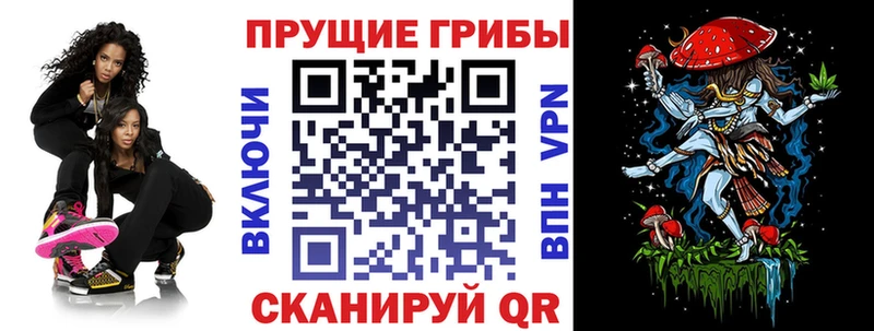 omg маркетплейс  Устюжна  Галлюциногенные грибы MAGIC MUSHROOMS  закладка 